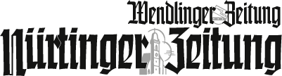 logo NTZ logo NTZ